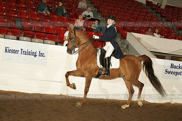 Proof 06buckeye_0213
