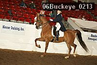06buckeye_0213 proof