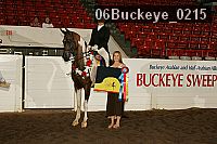 06buckeye_0215 proof