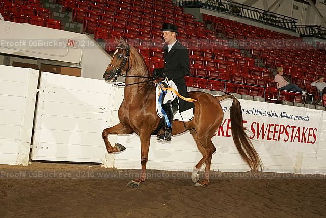 Proof 06buckeye_0216