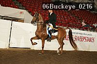06buckeye_0216 proof
