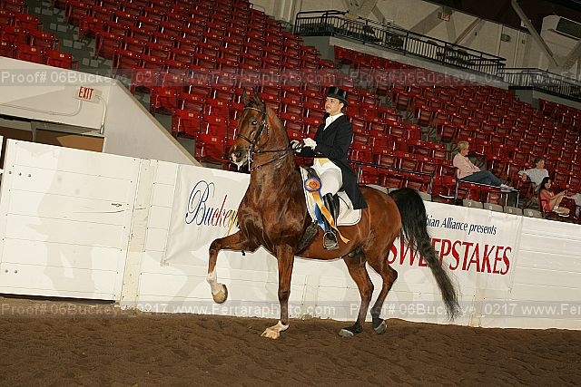 Proof 06buckeye_0217