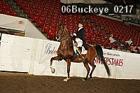 06buckeye_0217 proof