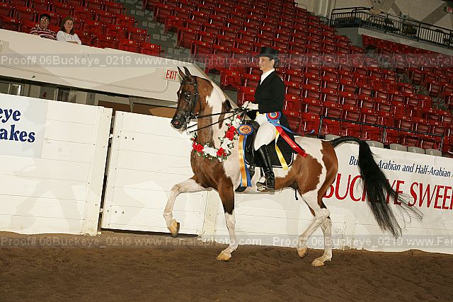 Proof 06buckeye_0219