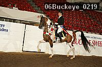 06buckeye_0219 proof