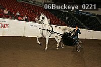 06buckeye_0221 proof