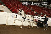 06buckeye_0224 proof