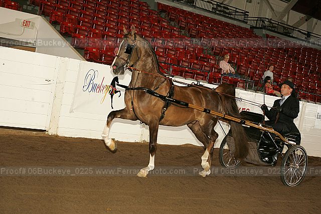 Proof 06buckeye_0225