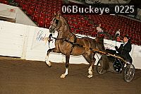 06buckeye_0225 proof