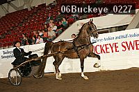 06buckeye_0227 proof