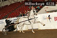 06buckeye_0228 proof