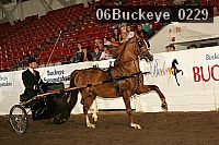 06buckeye_0229 proof