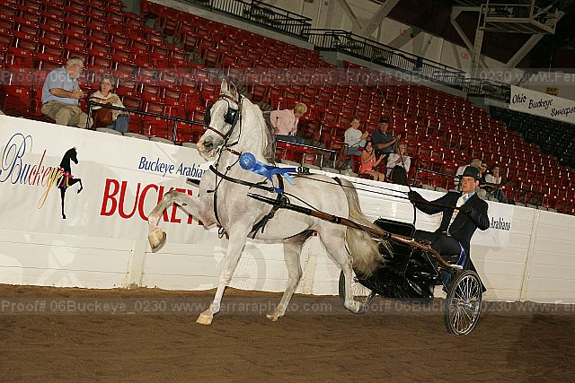 Proof 06buckeye_0230