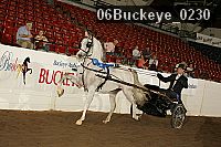 06buckeye_0230 proof