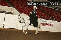 06buckeye_0313 proof