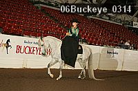 06buckeye_0314 proof