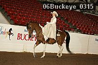06buckeye_0315 proof
