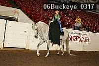 06buckeye_0317 proof