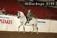 06buckeye_0319 proof