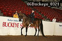 06buckeye_0321 proof
