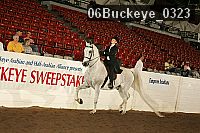 06buckeye_0323 proof