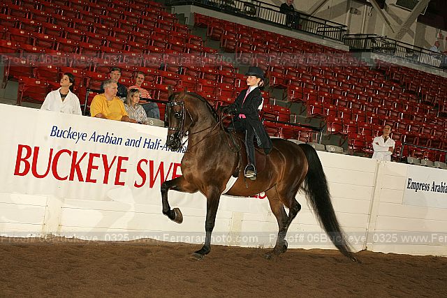 Proof 06buckeye_0325