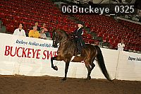 06buckeye_0325 proof