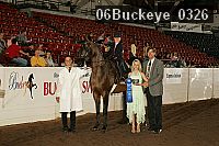 06buckeye_0326 proof