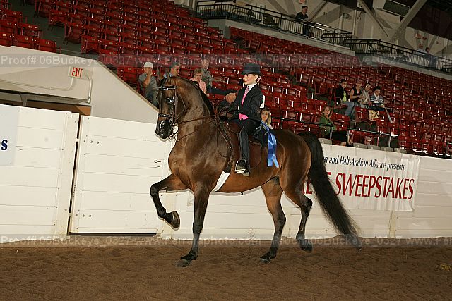 Proof 06buckeye_0327