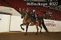 06buckeye_0327 proof