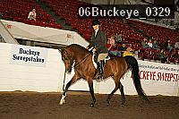 06buckeye_0329 proof