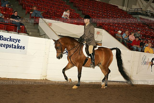 Proof 06buckeye_0331