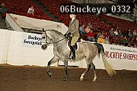 06buckeye_0332 proof
