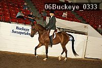 06buckeye_0333 proof