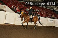 06buckeye_0334 proof