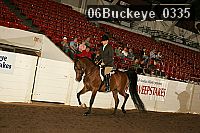 06buckeye_0335 proof