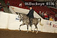 06buckeye_0336 proof