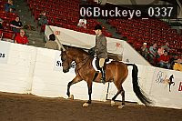 06buckeye_0337 proof