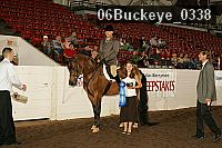 06buckeye_0338 proof
