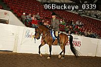 06buckeye_0339 proof
