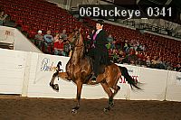 06buckeye_0341 proof