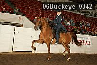 06buckeye_0342 proof