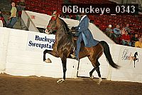 06buckeye_0343 proof
