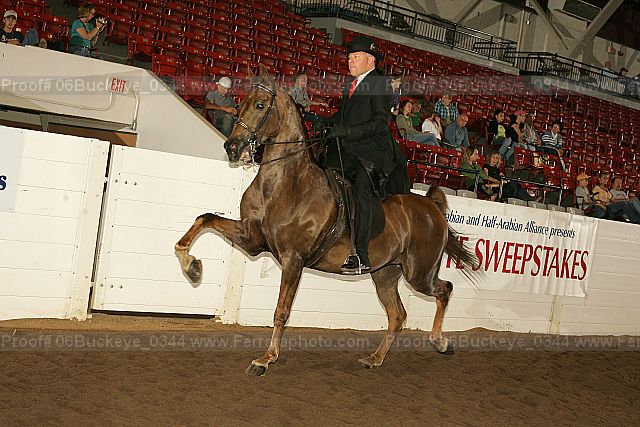 Proof 06buckeye_0344