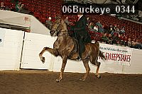 06buckeye_0344 proof