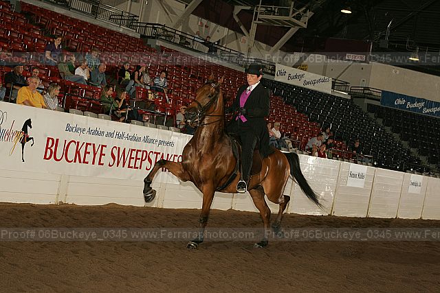 Proof 06buckeye_0345