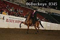 06buckeye_0345 proof