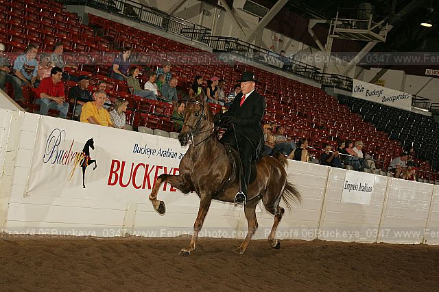 Proof 06buckeye_0347