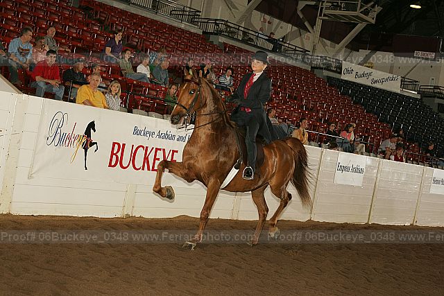 Proof 06buckeye_0348