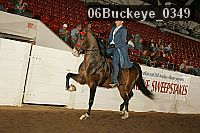 06buckeye_0349 proof